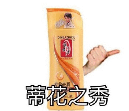蒂花之秀什么梗  第1张