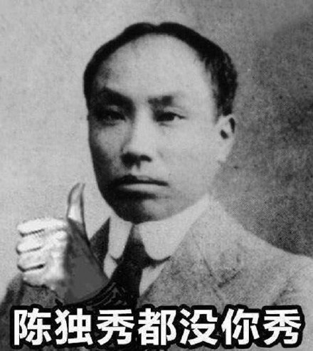 蒂花之秀什么梗  第3张