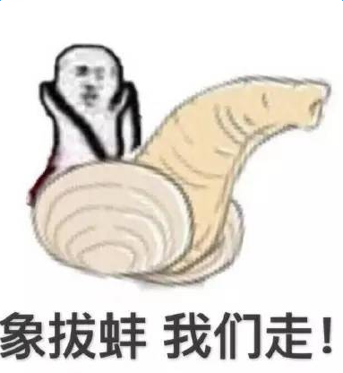 象拔蚌什么梗  第2张