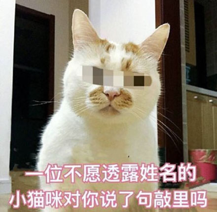 俏丽吗啥意思？  第2张