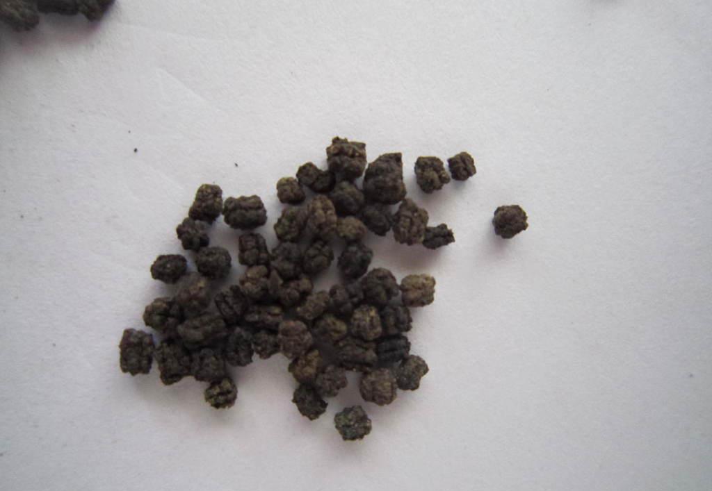 蚕砂的作用与功效_蚕沙价格是多少  第3张