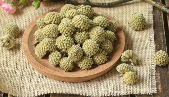 绿萝花茶哪种人不能喝  第3张