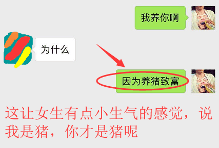 各种撩人的套路对话,再也不用等国家发女朋友了  第2张