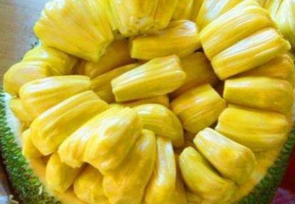 菠萝蜜的营养价值：哪些人不能吃菠萝蜜  第1张