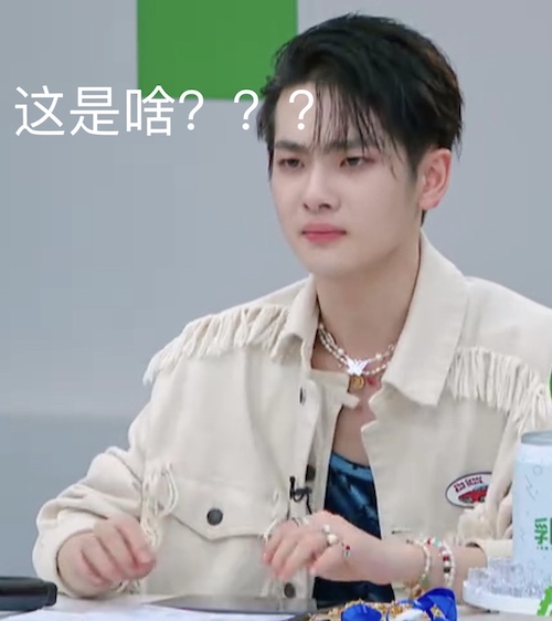 你周震南了是什么意思什么梗？  第2张