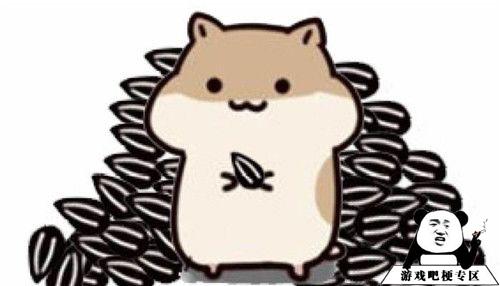 人的本质是仓鼠啥意思？  第2张