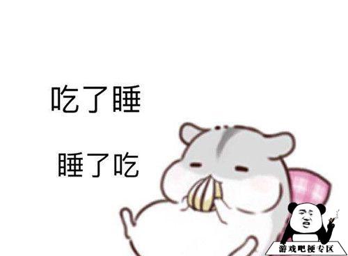 人的本质是仓鼠啥意思？  第3张