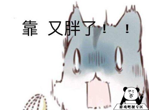 人的本质是仓鼠啥意思？  第4张