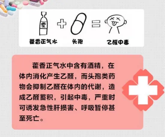 谨慎！这些东西不要一起吃，千万记住  第5张