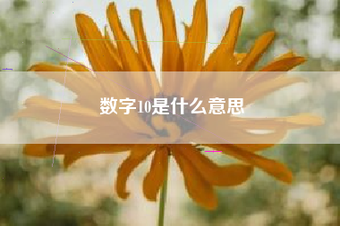 数字10是什么意思  第1张