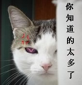 你知道的太多了什么梗？  第1张