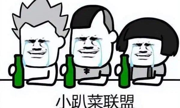 小趴菜是什么意思？  第1张