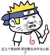 【表情包】还上个屌班啊 劳资要去木叶当火影了  第1张