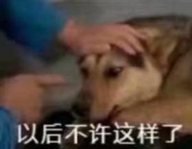 【表情包】以后不许这样了  第1张