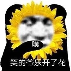【表情包】笑的爷乐开了花  第1张