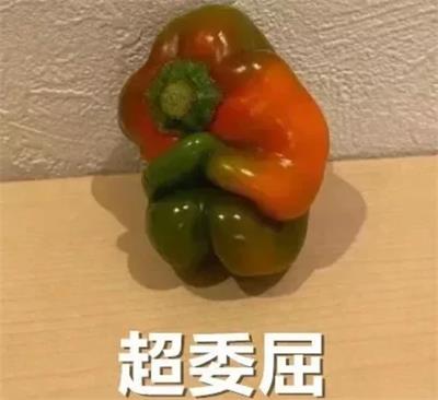 辣椒表情包-超委屈  第1张