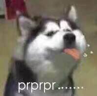 prprpr是啥意思？  第1张